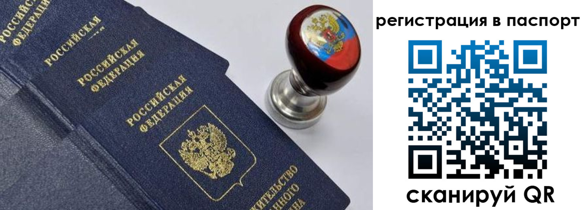 прописка поиск в Красном Куте